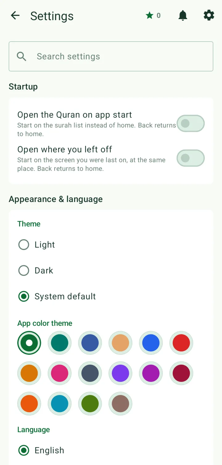 Settings with the startup options and the Appearance & language section